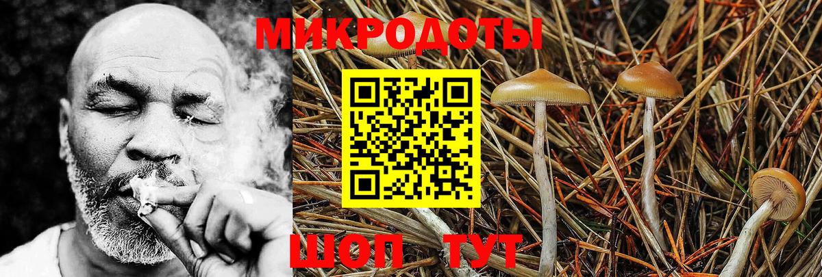 Бор  Псилоцибиновые грибы MAGIC MUSHROOMS  где найти   Вход с VPN 