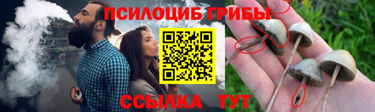 Псилоцибиновые грибы MAGIC MUSHROOMS Бор