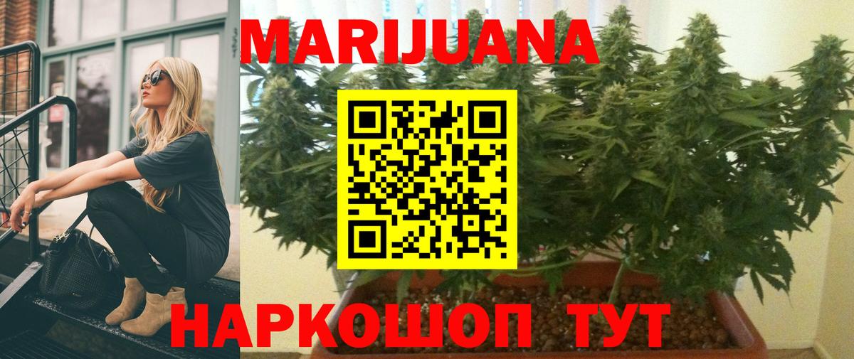 Марихуана Ganja  МАРИХУАНА сатива  Бор  МАРИХУАНА сатива  Вход с VPN 